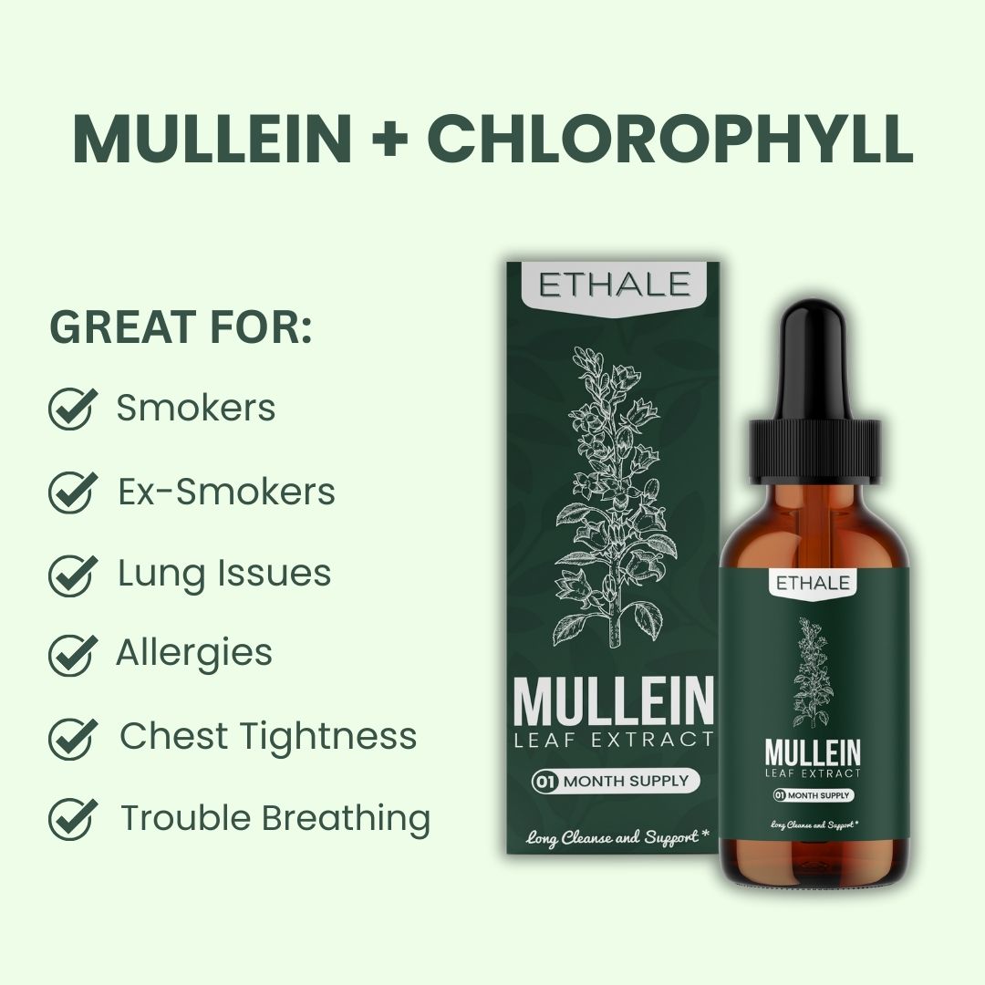 Mullein + Chlorophyll Lung Drops