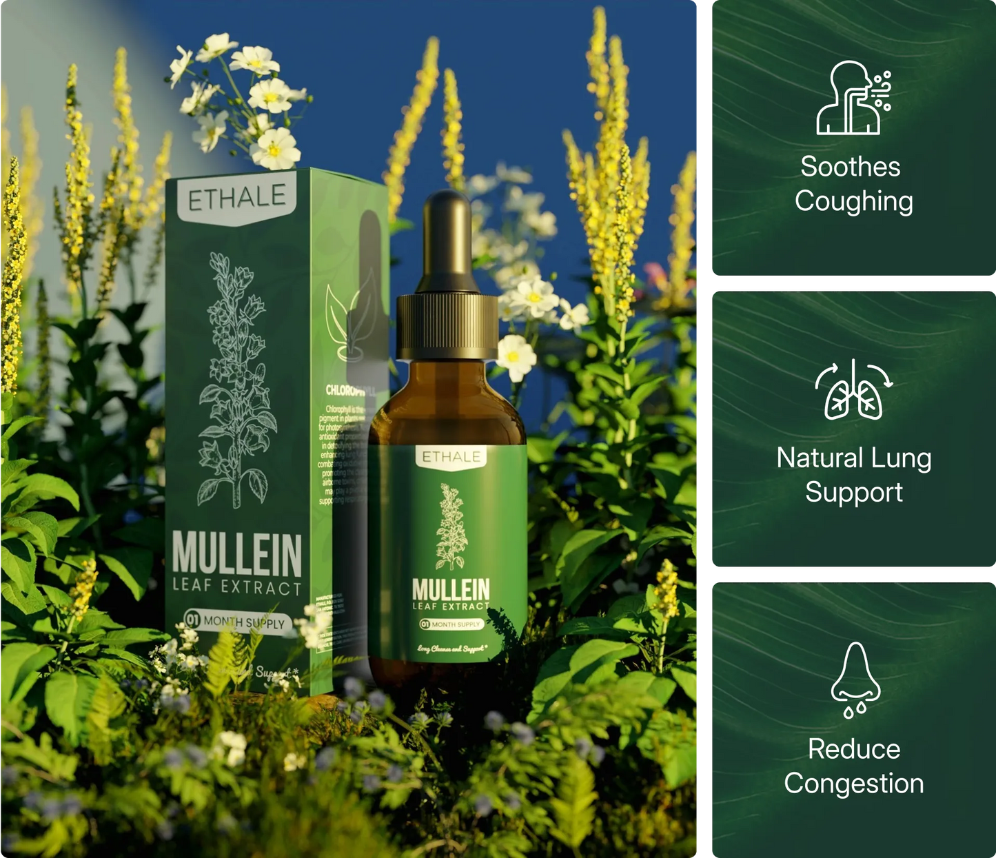 Mullein + Chlorophyll Lung Drops
