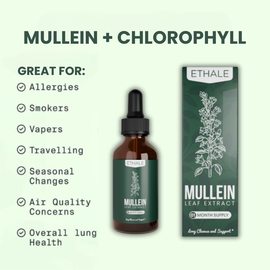 Mullein + Chlorophyll Lung Drops