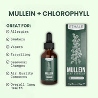 Mullein + Chlorophyll Lung Drops
