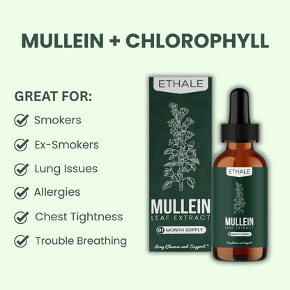 Mullein + Chlorophyll Lung Drops