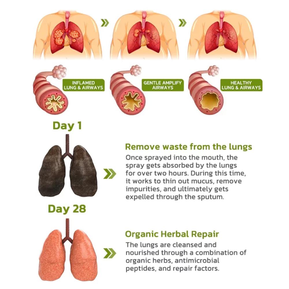 Herbal Lung Spray