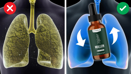Mullein + Chlorophyll Lung Drops – Ethale