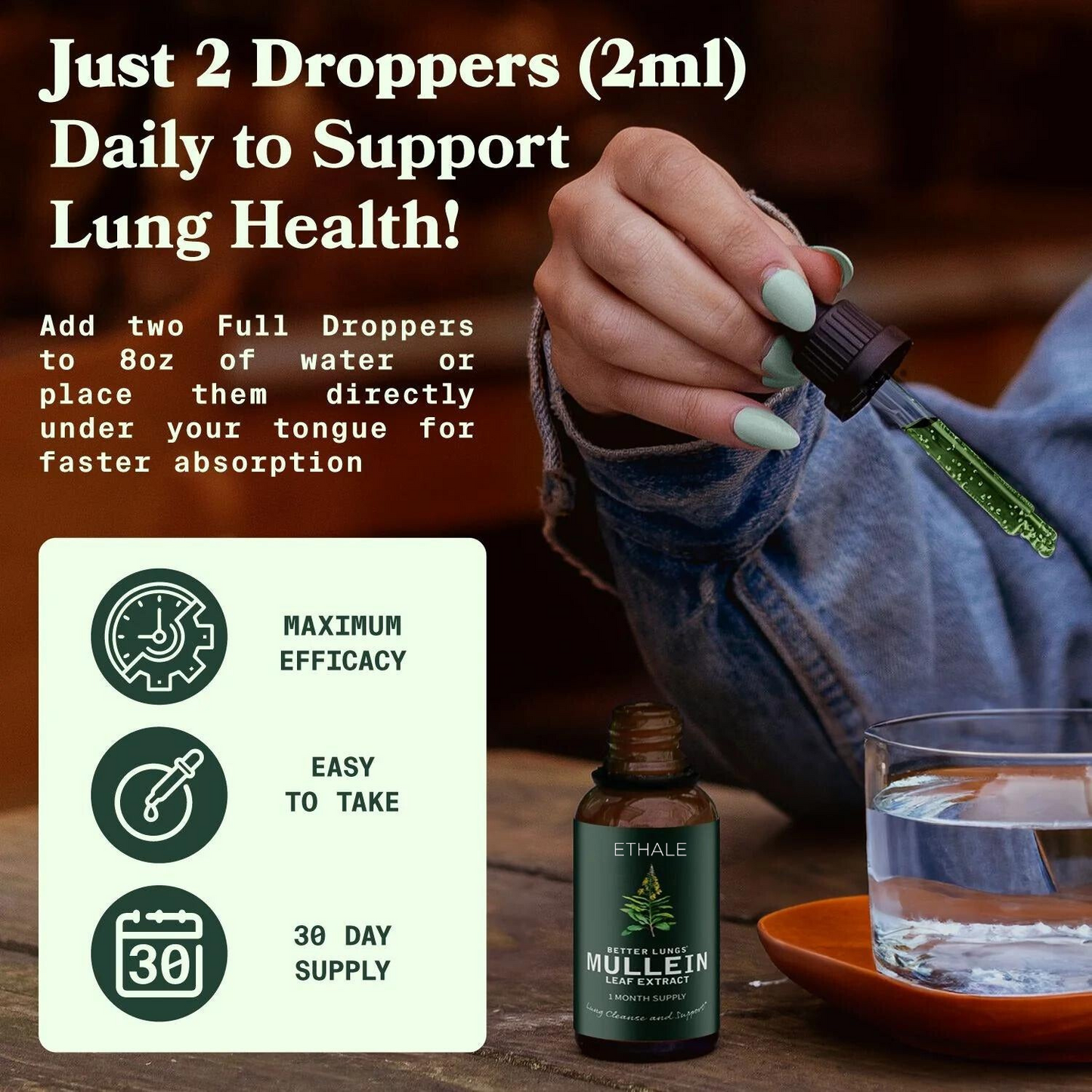 Mullein + Chlorophyll Lung Drops