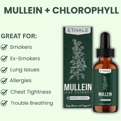 Mullein + Chlorophyll Lung Drops