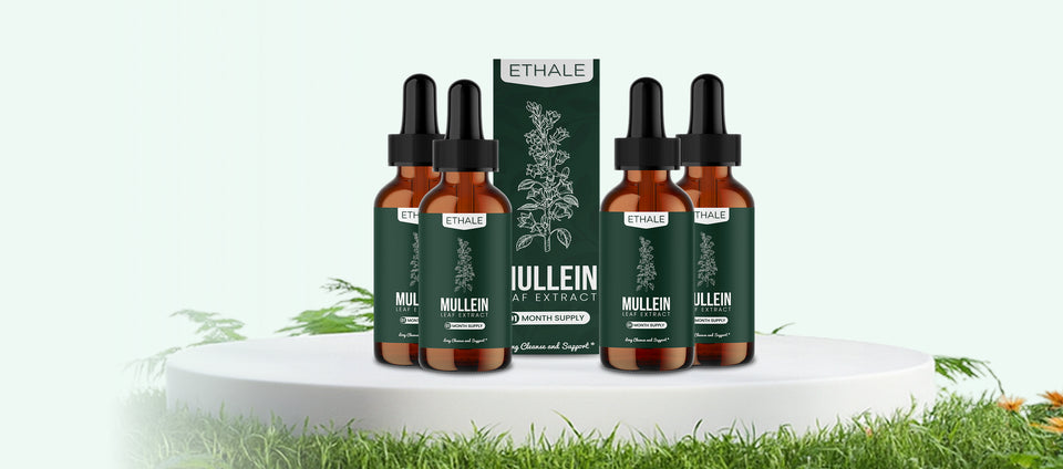 Ethale Mullein Lung Drops — full supply bundle for daily breathing support
