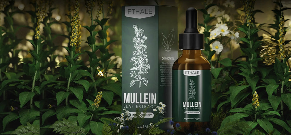 Ethale mullein lung drops bottle