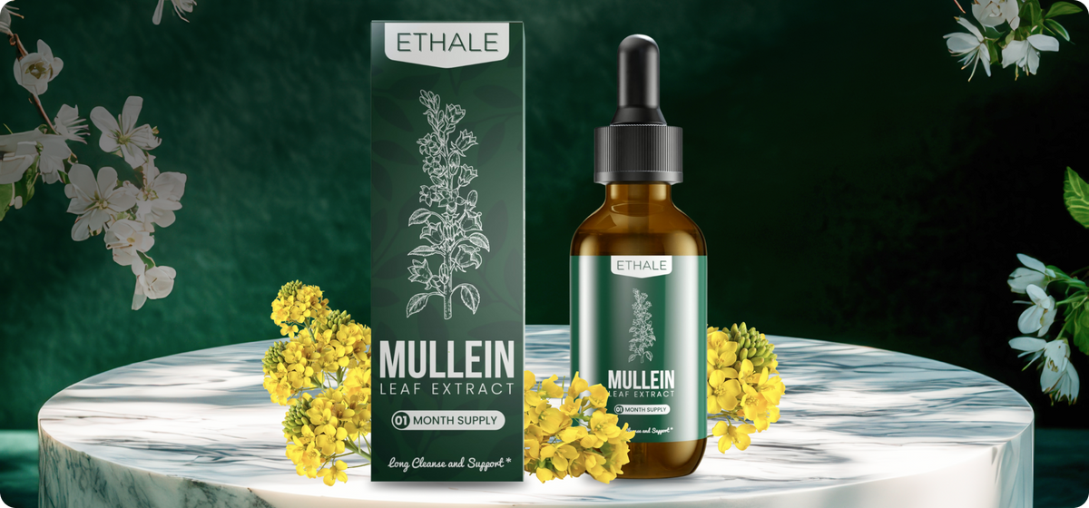 Mullein and chlorophyll lung drops ingredients