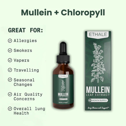 Mullein + Chlorophyll Lung Drops