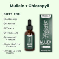 Mullein + Chlorophyll Lung Drops