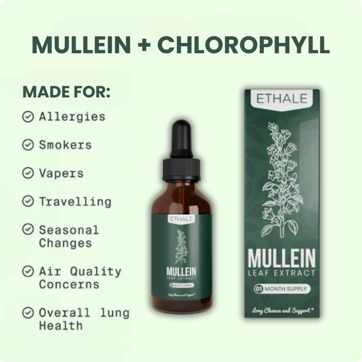 Mullein + Chlorophyll Lung Drops