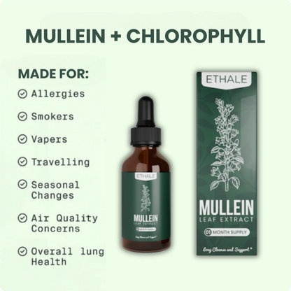 Mullein + Chlorophyll Lung Drops