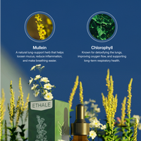 Mullein + Chlorophyll Lung Drops