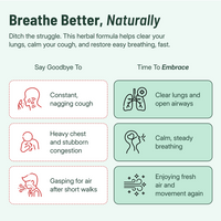 Mullein + Chlorophyll Lung Drops