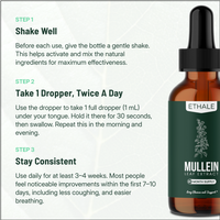 Mullein + Chlorophyll Lung Drops