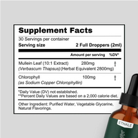 Mullein + Chlorophyll Lung Drops