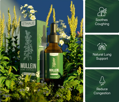 Mullein + Chlorophyll Lung Drops